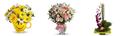 Photo of Rosemar Flowers