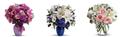 Photo of Rosemar Flowers