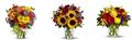 Photo of Rosemar Flowers