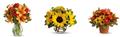 Photo of Rosemar Flowers