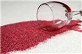 Photo of Profresh Carpet and Upholstery Cleaners