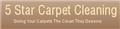 5 Star Carpet Cleaning   logo