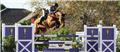 Photo of Martha W Jolicoeur - Luxury Equestrian Farms and Estates