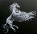 Pegasus Machining and Welding logo