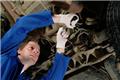 Photo of Autotech Cheshire MOT and Service Centre