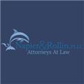 Napier & Rollin, PLLC logo