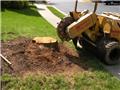 Photo of Growing Earth Tree Care