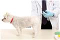 Photo of Animal Talk Medical Center