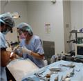 Photo of Dental Implants Professionals