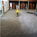 Photo of Elite Carpet Cleaning and Restoration