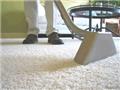 Photo of Elite Carpet Cleaning and Restoration