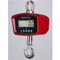 Photo of Prime Scales