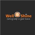 Wellshine Domestic Cleaners Taunton  logo