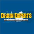 Drain Experts logo