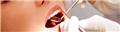 Photo of Brit Phillips DDS