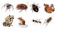 Photo of Pest-O-Kill Pest Control Toronto