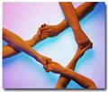 Photo of Support Systems Homes Inc