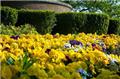 Photo of GreenPal Lawn Care