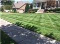 Photo of GreenPal Lawn Care