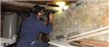 Photo of Forensic Pest Management Services