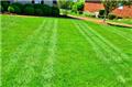 Photo of GreenPal