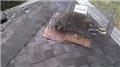 Photo of Bills Raccoon Removal Service