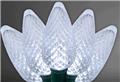 Photo of Wintergreen Corporation