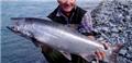Photo of Alaskan Game Fisher