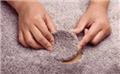 Photo of Apex Carpet Cleaning And Flood Restoration