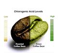 Photo of Green Coffee Beans Magic