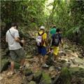 Photo of Junglewalla