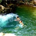 Photo of Junglewalla