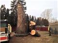 Photo of Matt’s Tree Service