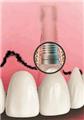Photo of Cosmetic Dentistry NYC