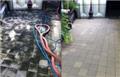 Photo of Ecopro Pressure Cleaning