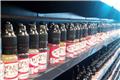 Photo of Wickedly Hot Vapors