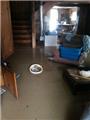 Photo of Rapid Dry Inc 