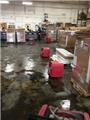 Photo of Rapid Dry Inc 