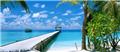 Photo of Wholesale Escapes