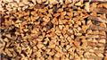 Photo of Premier Firewood Company