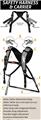 Photo of Piggyback Rider