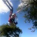 Photo of AAA Tree & Shrub care Service