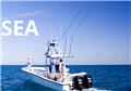 Photo of Fish Key West
