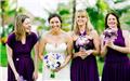 Photo of Bluephoto Wedding Photography