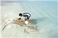 Photo of Blue Bayou Maldives Pvt Ltd