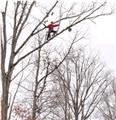 Photo of Ridgeline Tree Service