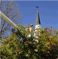 Photo of Ridgeline Tree Service