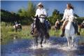 Photo of Latin American Destinations