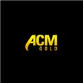 ACM Gold and Forex Trading logo
