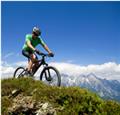 Photo of Bike Addiction